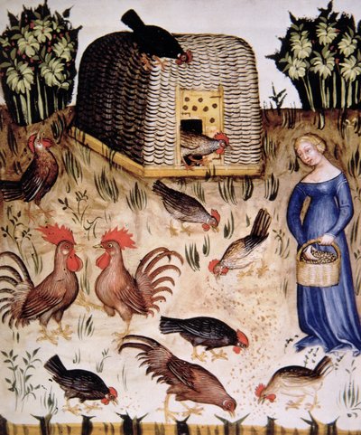 Rearing Cocks (illustration from Tacuinum Sanitatis Codex Vindobonensis) by Italian School